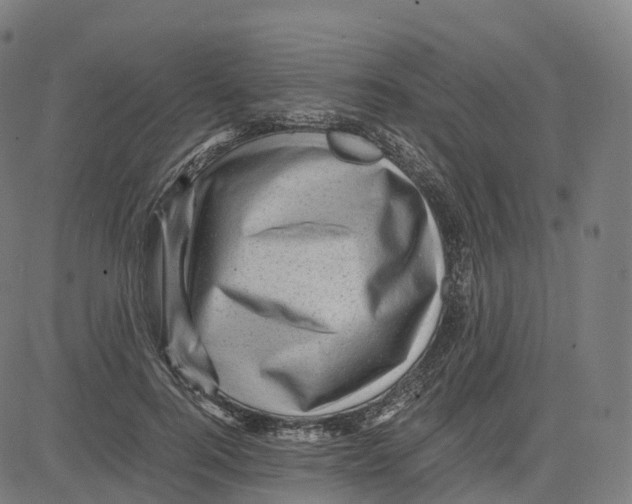 X0000083640744200703121719