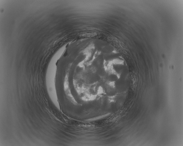 X0000083640745200703121719