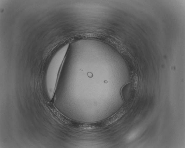 X0000083640746200703121719