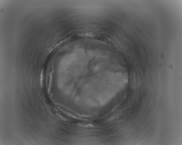 X0000083640747200703121719