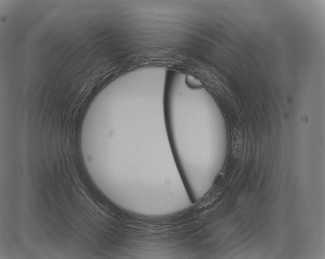 X0000083640748200703121719