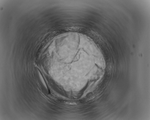 X0000083640749200703121719