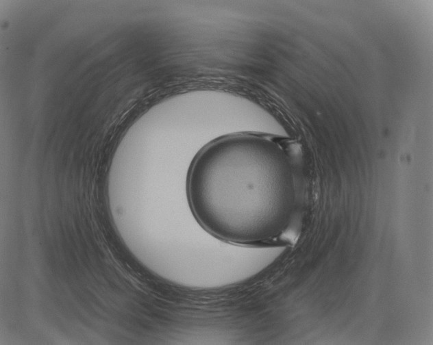 X0000083640750200703121719