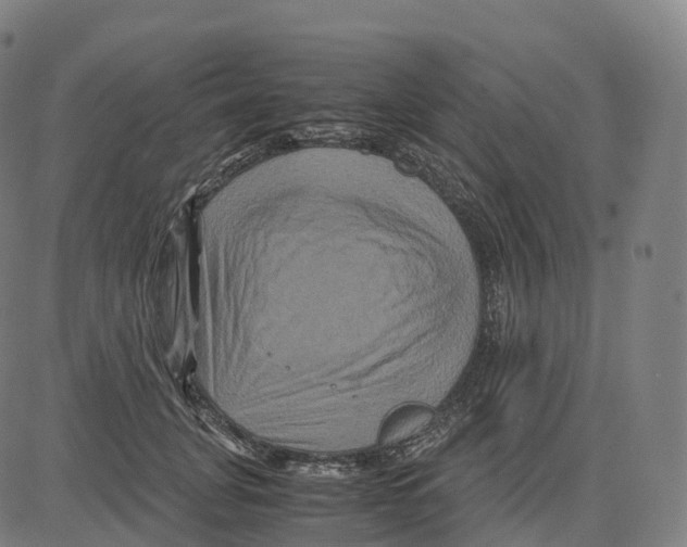 X0000083640751200703121719