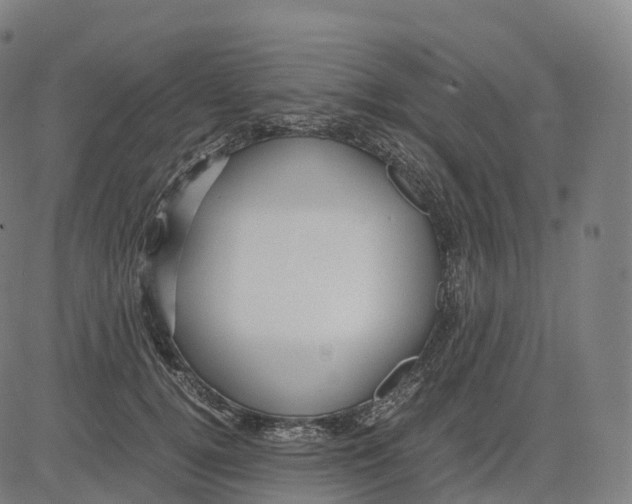 X0000083640752200703121719