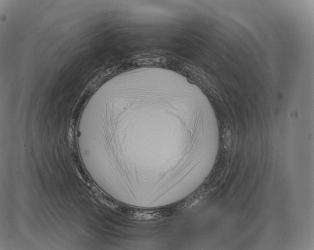 X0000083640753200703121719