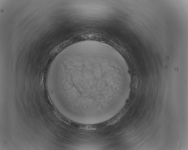 X0000083640754200703121719