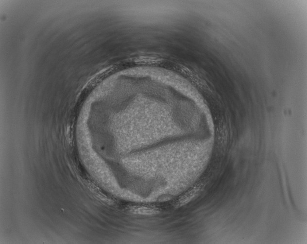 X0000083640755200703121719