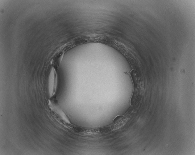 X0000083640756200703121719