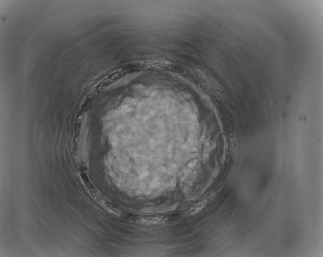 X0000083640757200703121719