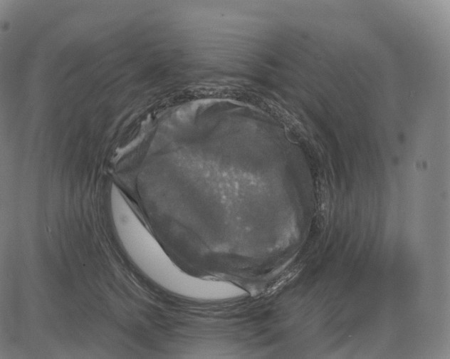 X0000083640758200703121719