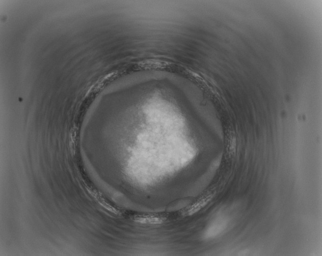 X0000083640759200703121719