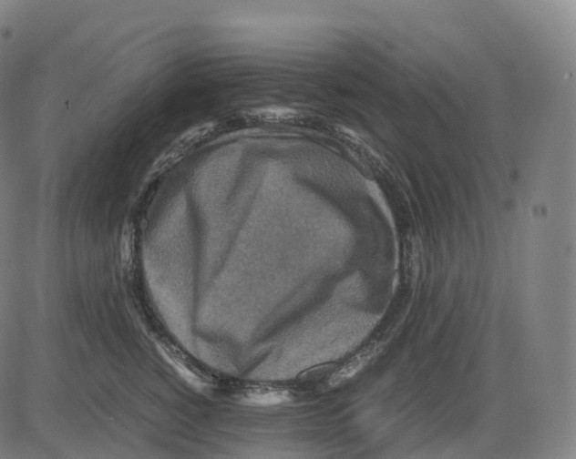 X0000083640760200703121719