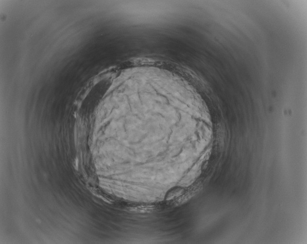 X0000083640761200703121719