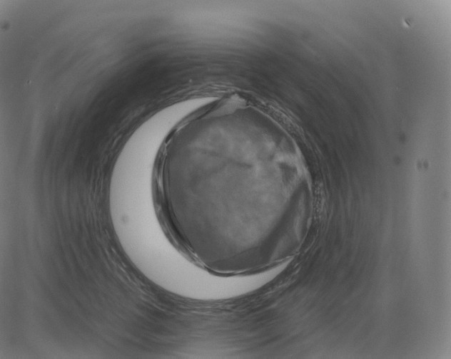 X0000083640762200703121719