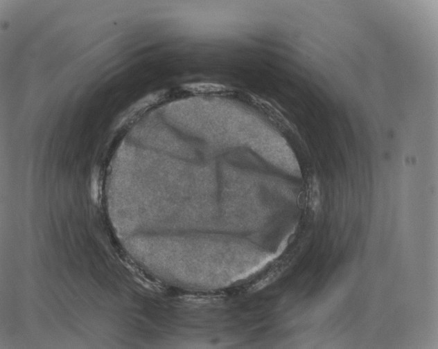 X0000083640763200703121719