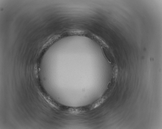 X0000083640764200703121719