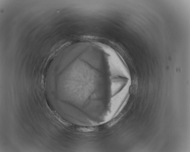 X0000083640765200703121719