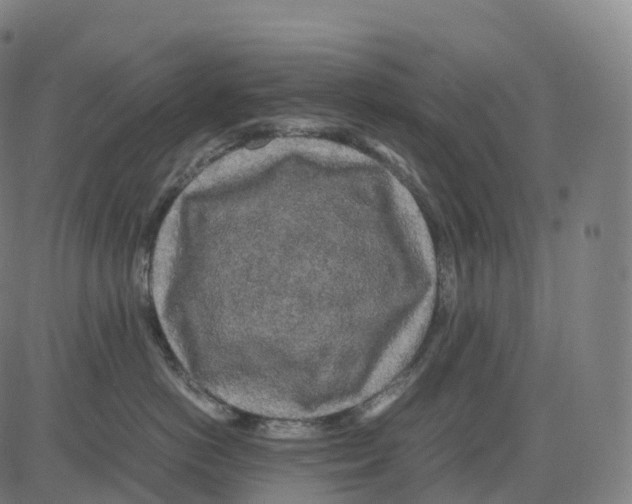 X0000083640766200703121719