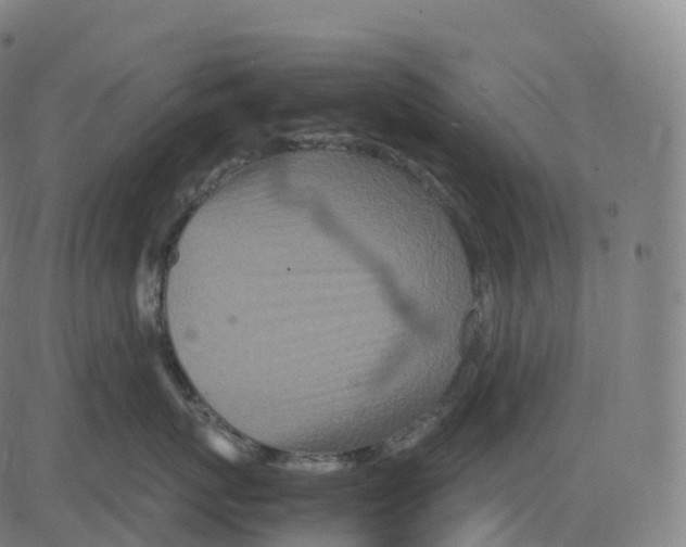 X0000083640767200703121719