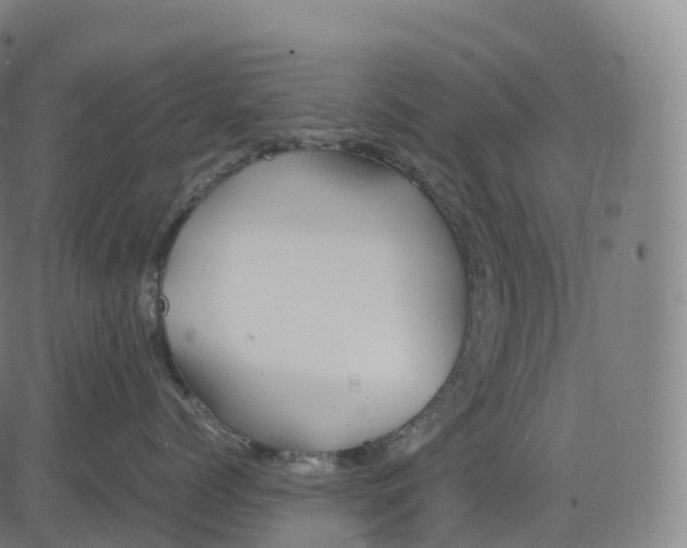 X0000083640768200703121719