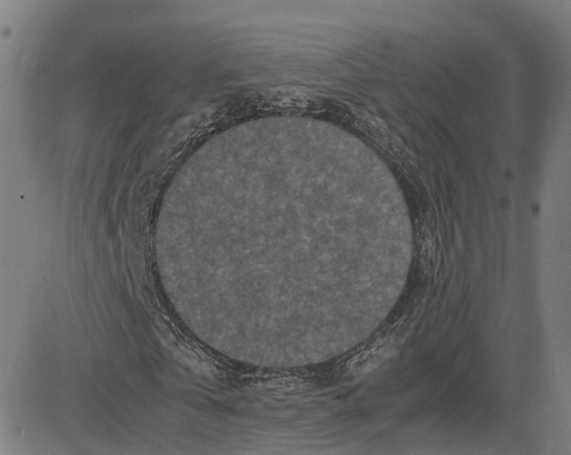 X0000083640769200703121719