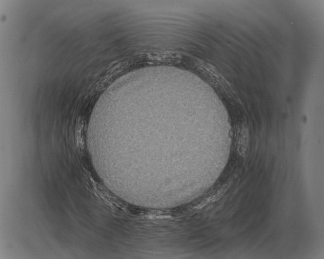 X0000083640770200703121719