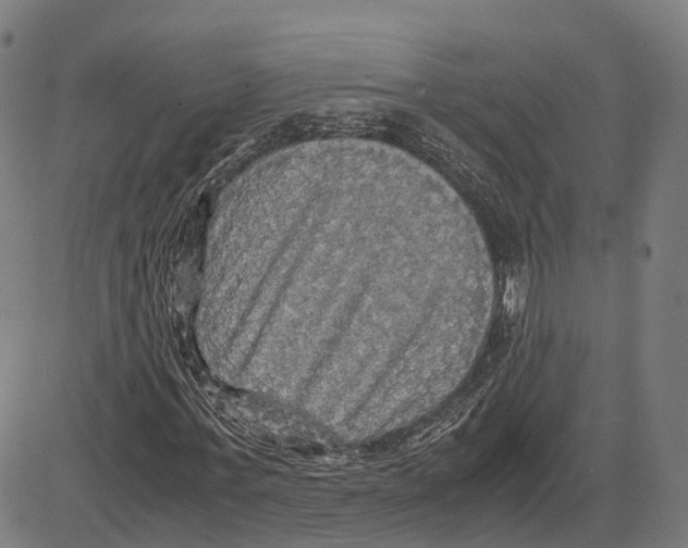 X0000083640771200703121719