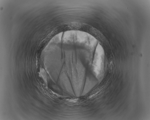 X0000083640772200703121719