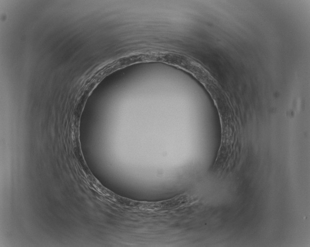 X0000083640773200703121719