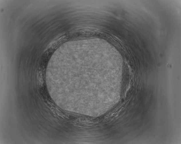 X0000083640774200703121719