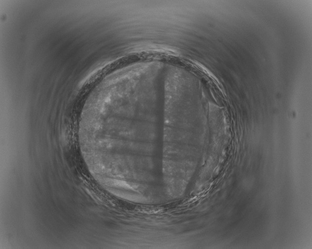 X0000083640775200703121718