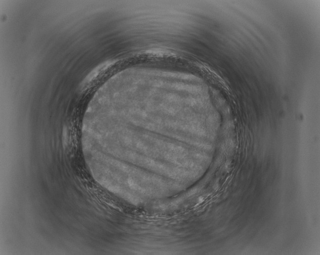 X0000083640776200703121718