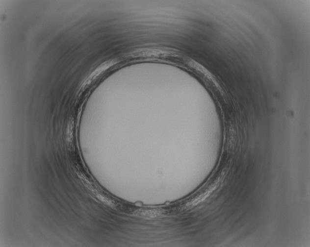 X0000083640778200703121718