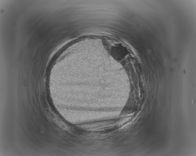 X0000083640779200703121718