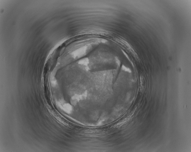 X0000083640780200703121718