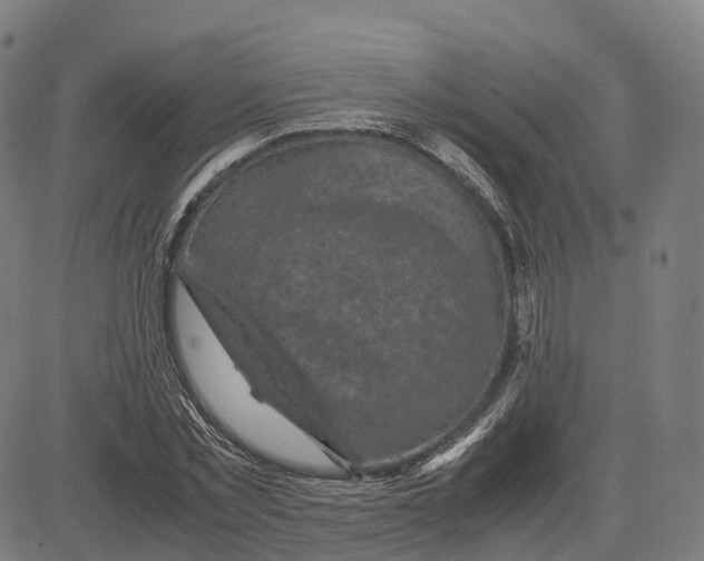 X0000083640781200703121718