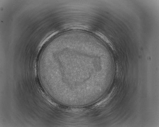 X0000083640782200703121718