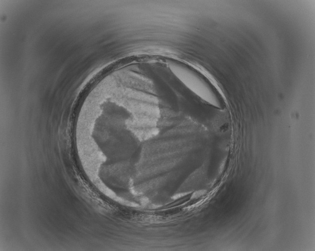 X0000083640783200703121718