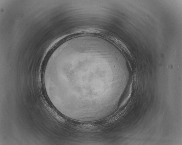 X0000083640784200703121718