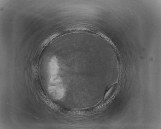 X0000083640785200703121718