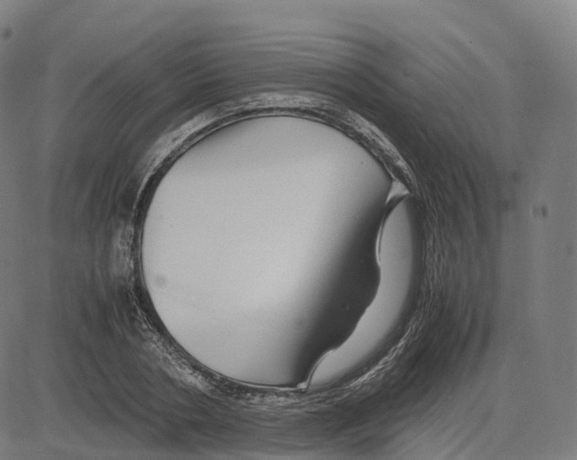 X0000083640786200703121718