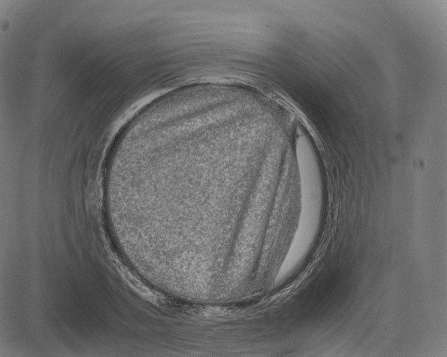 X0000083640787200703121718