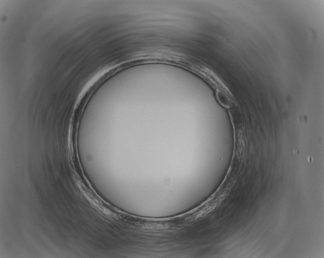 X0000083640788200703121718