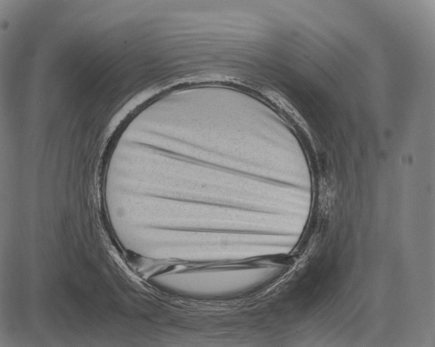 X0000083640789200703121718