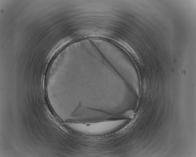 X0000083640790200703121718