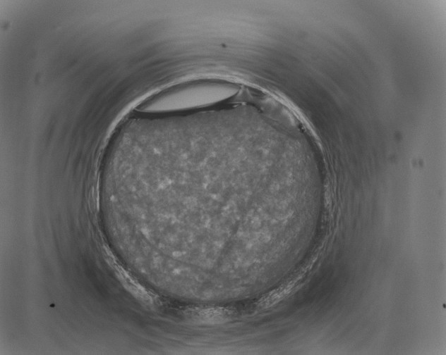 X0000083640791200703121718