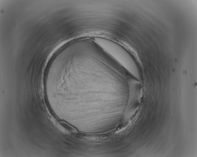 X0000083640792200703121718