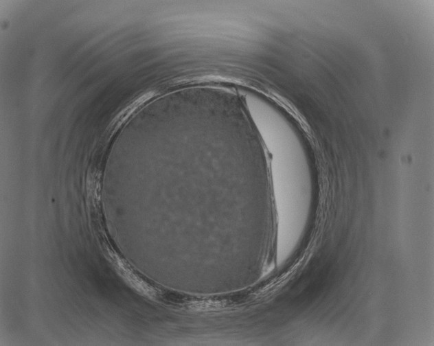 X0000083640793200703121718