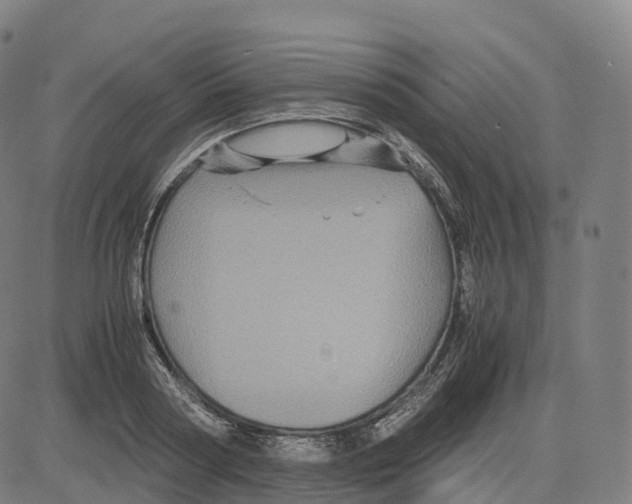 X0000083640794200703121718